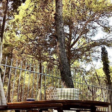 Malibu Studios & Apartments Ласі Екстер'єр фото